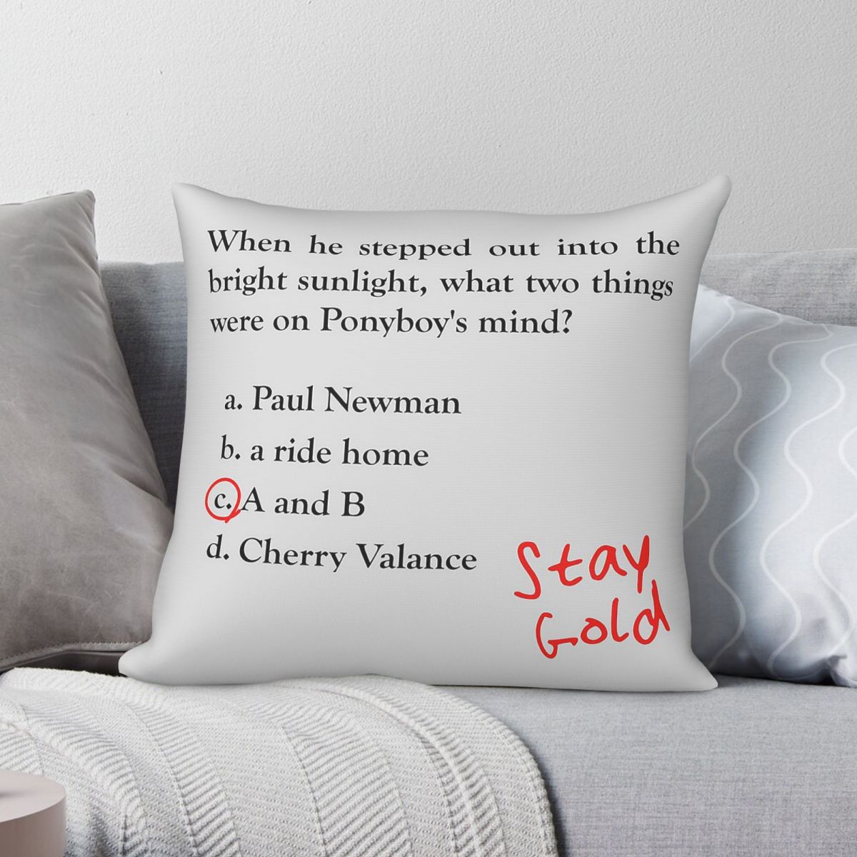 Home Decor Quiz - Наволочка Outsiders Ponyboy Quiz Question, квадратная,