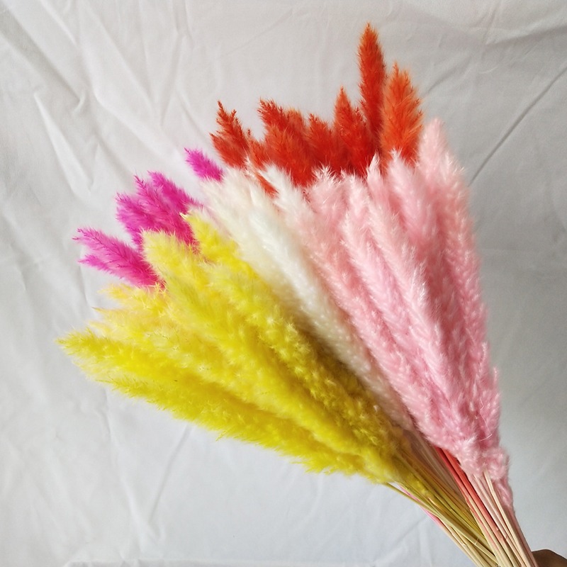 Натуральная сушеная пампасная  – обзор и цена Pampas Grass Decor