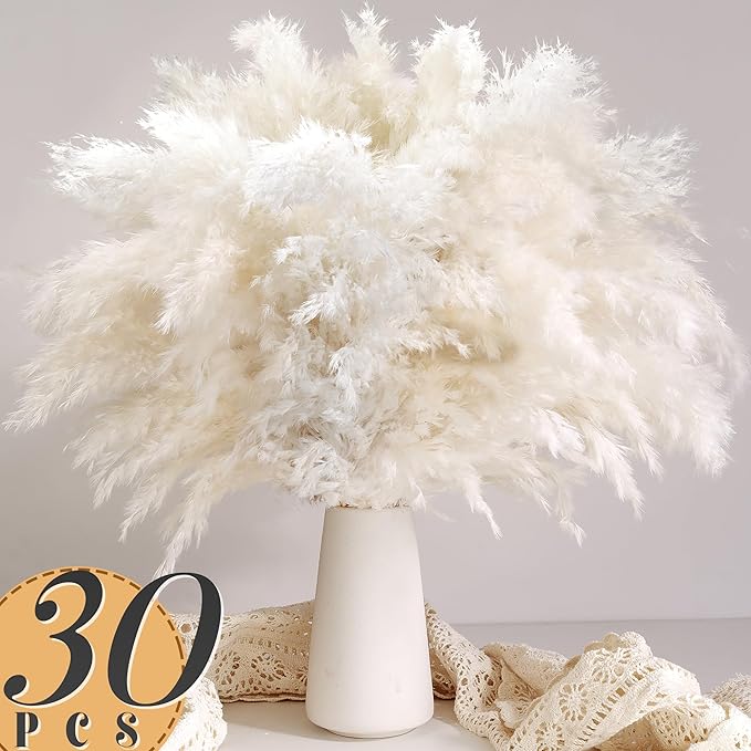 30 шт. белой пампасной травы д – обзор и цена Pampas Grass Decor