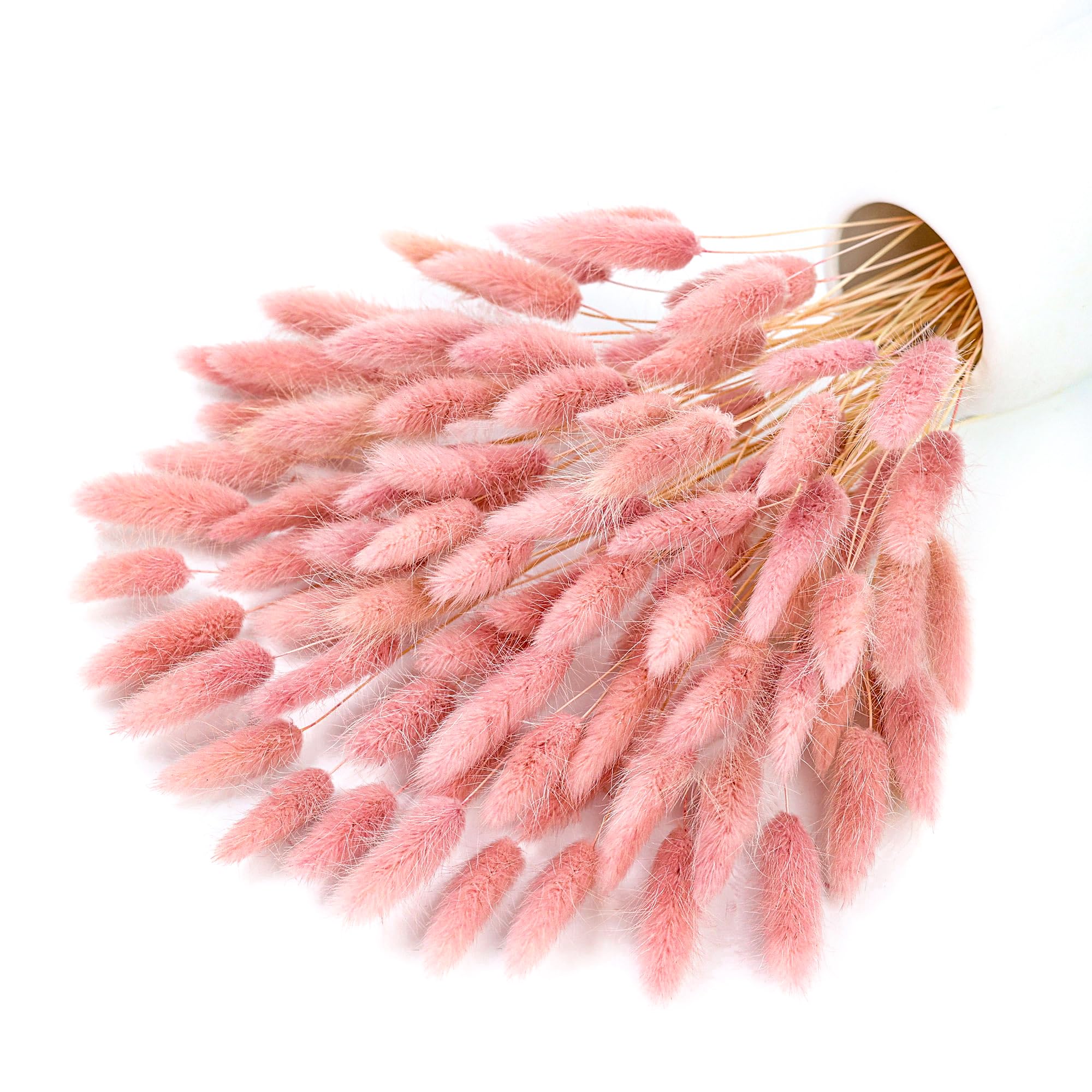 120 стеблей, розовые сушеные х – обзор и цена Pampas Grass Decor