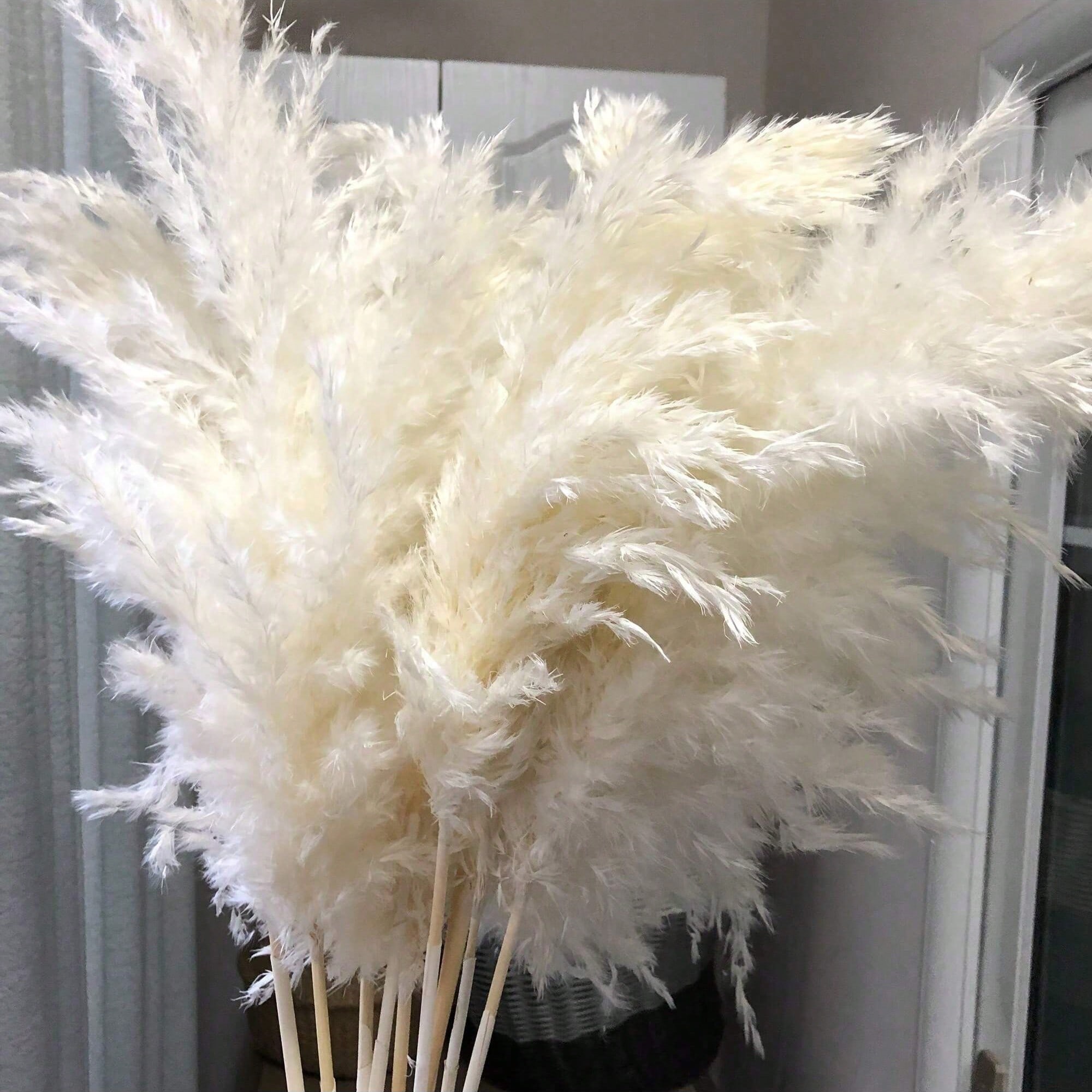 10/20/30 шт. белой искусственн – обзор и цена Pampas Grass Decor