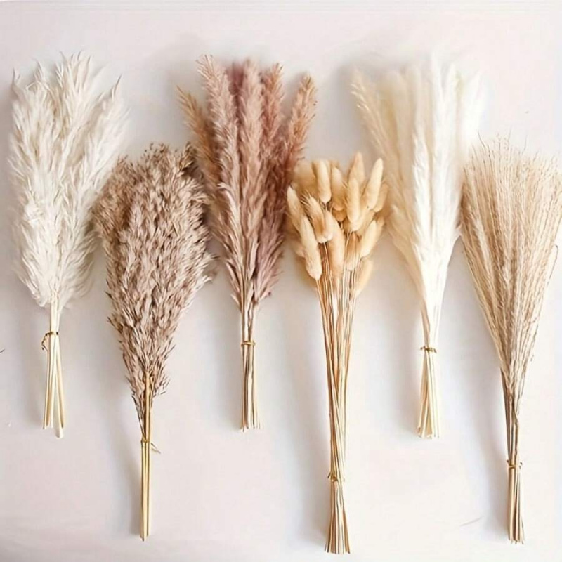 Букет из 110 штук сушеной трав – обзор и цена Pampas Grass Decor